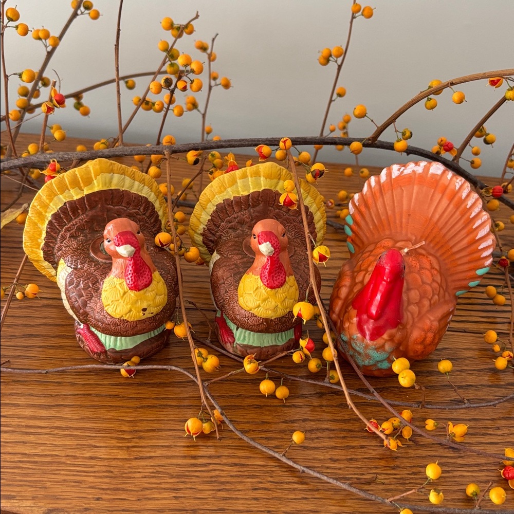 Turkey Bundle - Picture 2 of 14